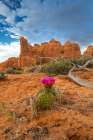 Sunset, Devils Garden, Arches National Park, Utah, USA. Art Print